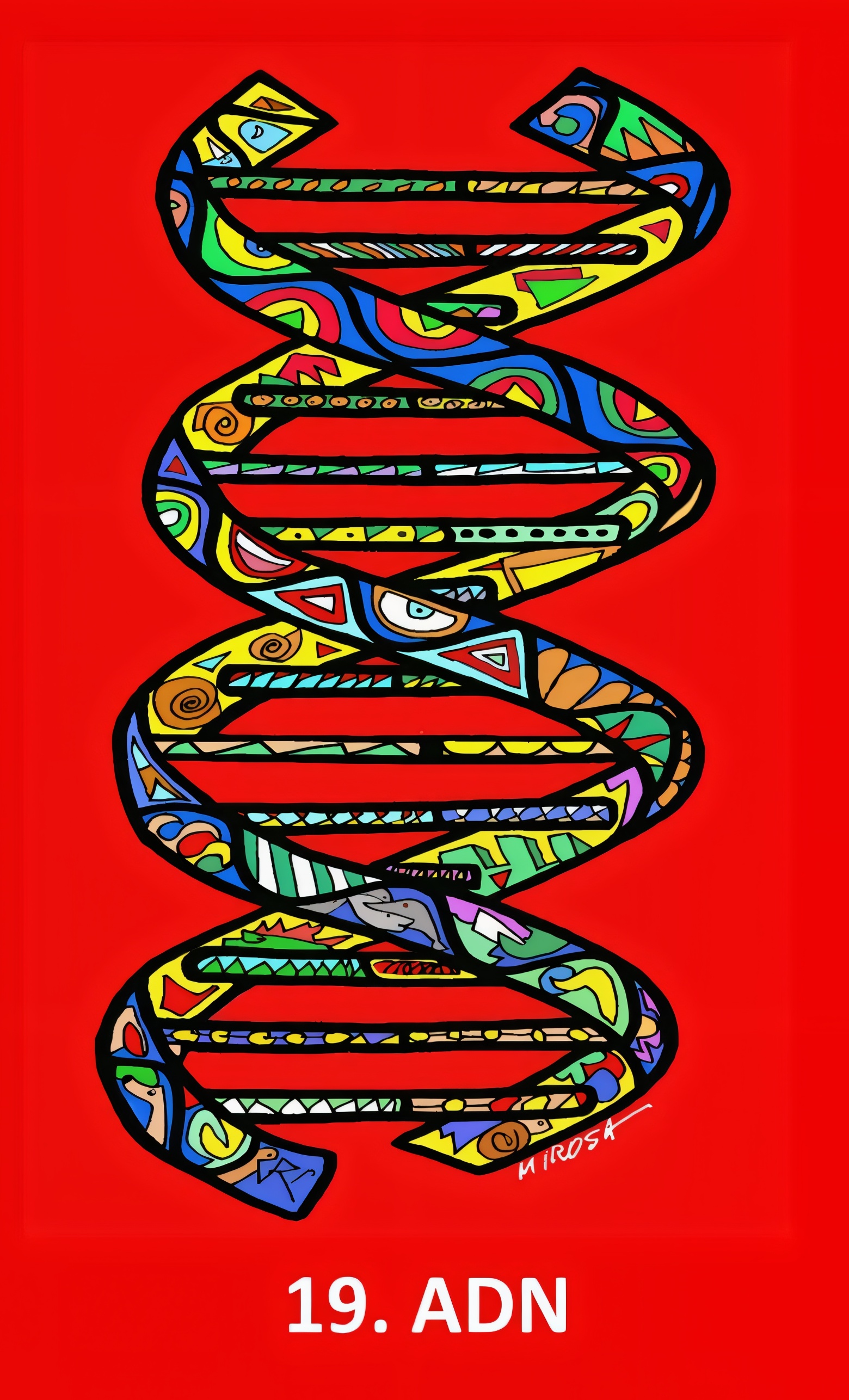 19. ADN